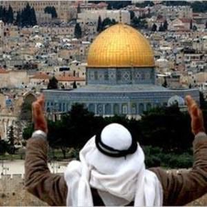 Meet your Posher, Abdelilah